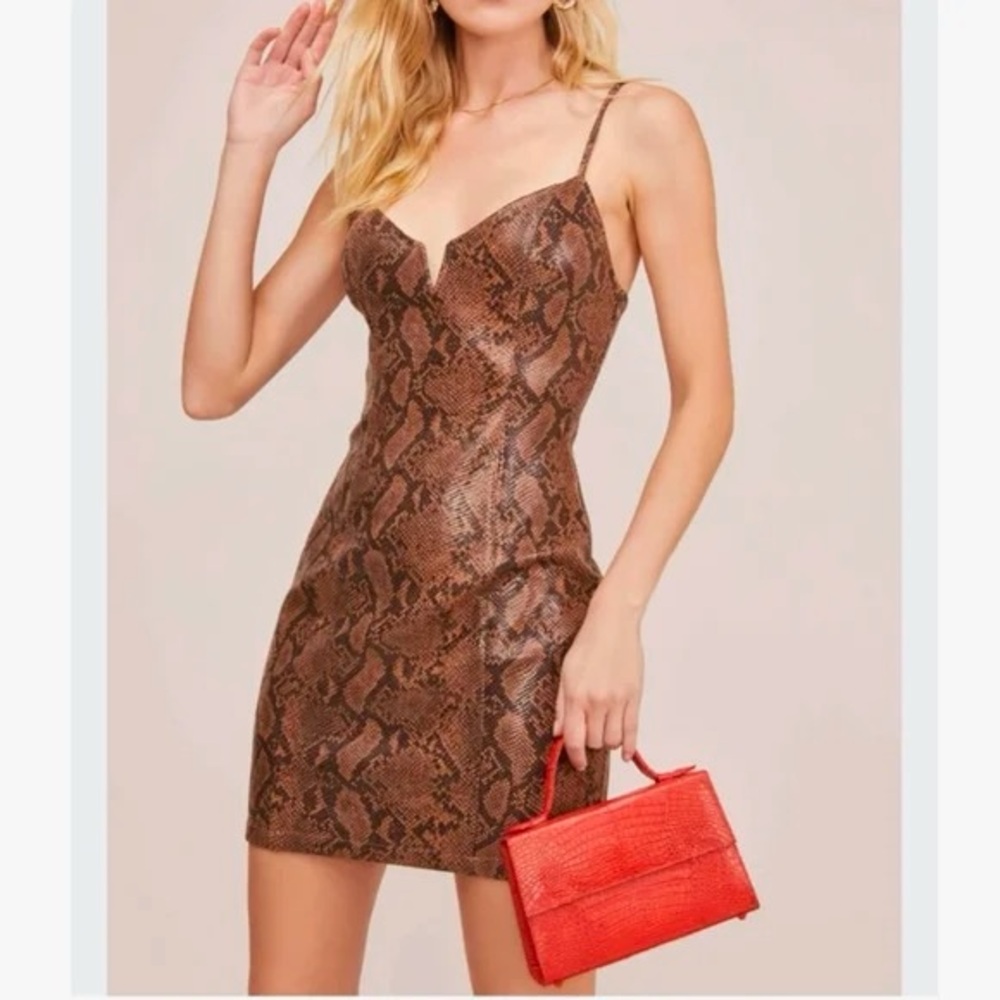 Astr The Label Come Slither Cocoa Python Snakeski… - image 1